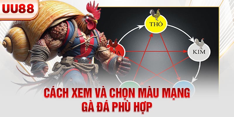 Cách xem và chọn màu mạng gà đá phù hợp Cách xem và chọn màu mạng gà đá phù hợp