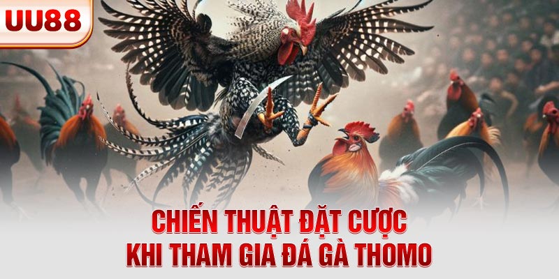 Chiến thuật đặt cược khi tham gia đá gà Thomo Chiến thuật đặt cược khi tham gia đá gà Thomo