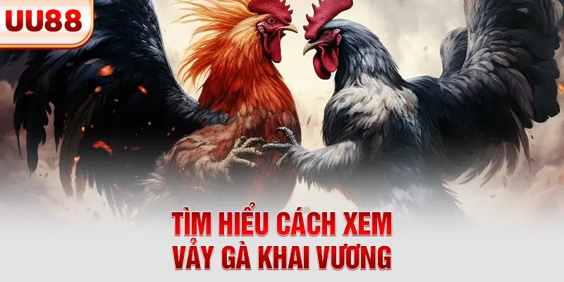 Tìm hiểu cách xem vảy gà khai vương Tìm hiểu cách xem vảy gà khai vương