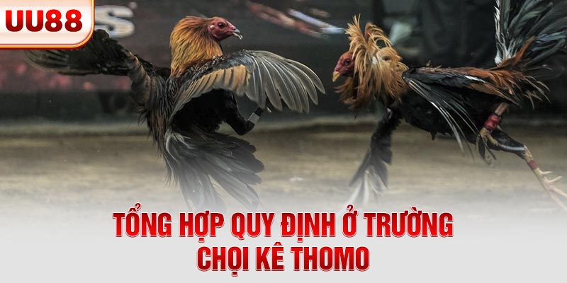 Tổng hợp quy định ở trường chọi kê Thomo Tổng hợp quy định ở trường chọi kê Thomo