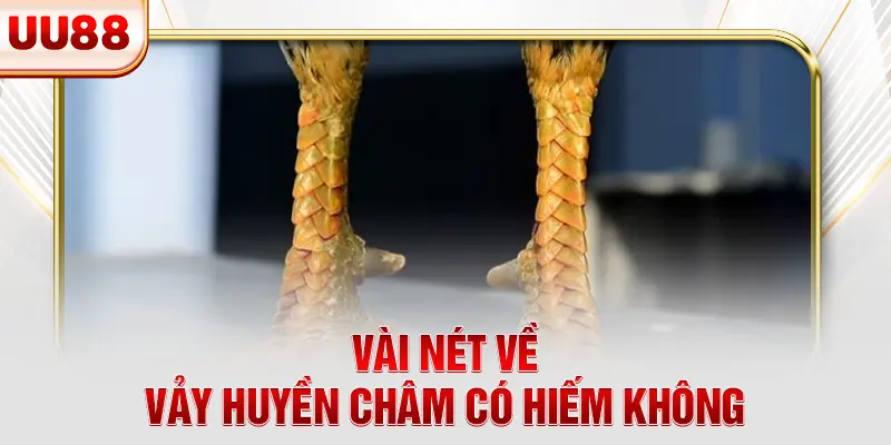 Vài nét về vảy huyền châm có hiếm không