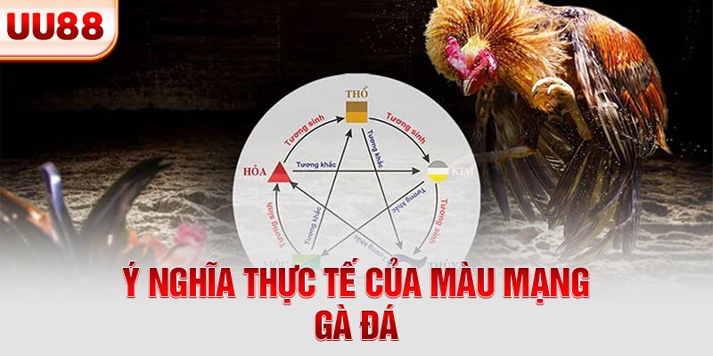 Ý nghĩa màu mạng gà đá Ý nghĩa màu mạng gà đá